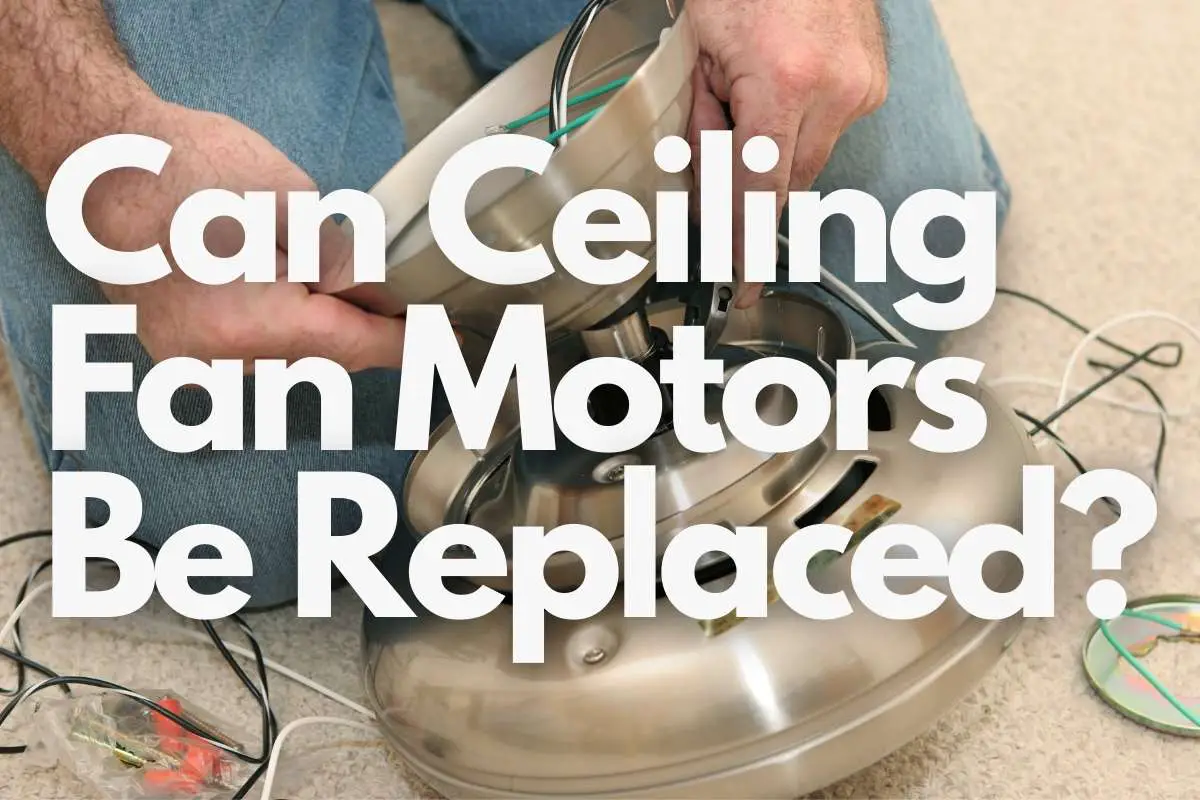 Can Ceiling Fan Motors Be Replaced How