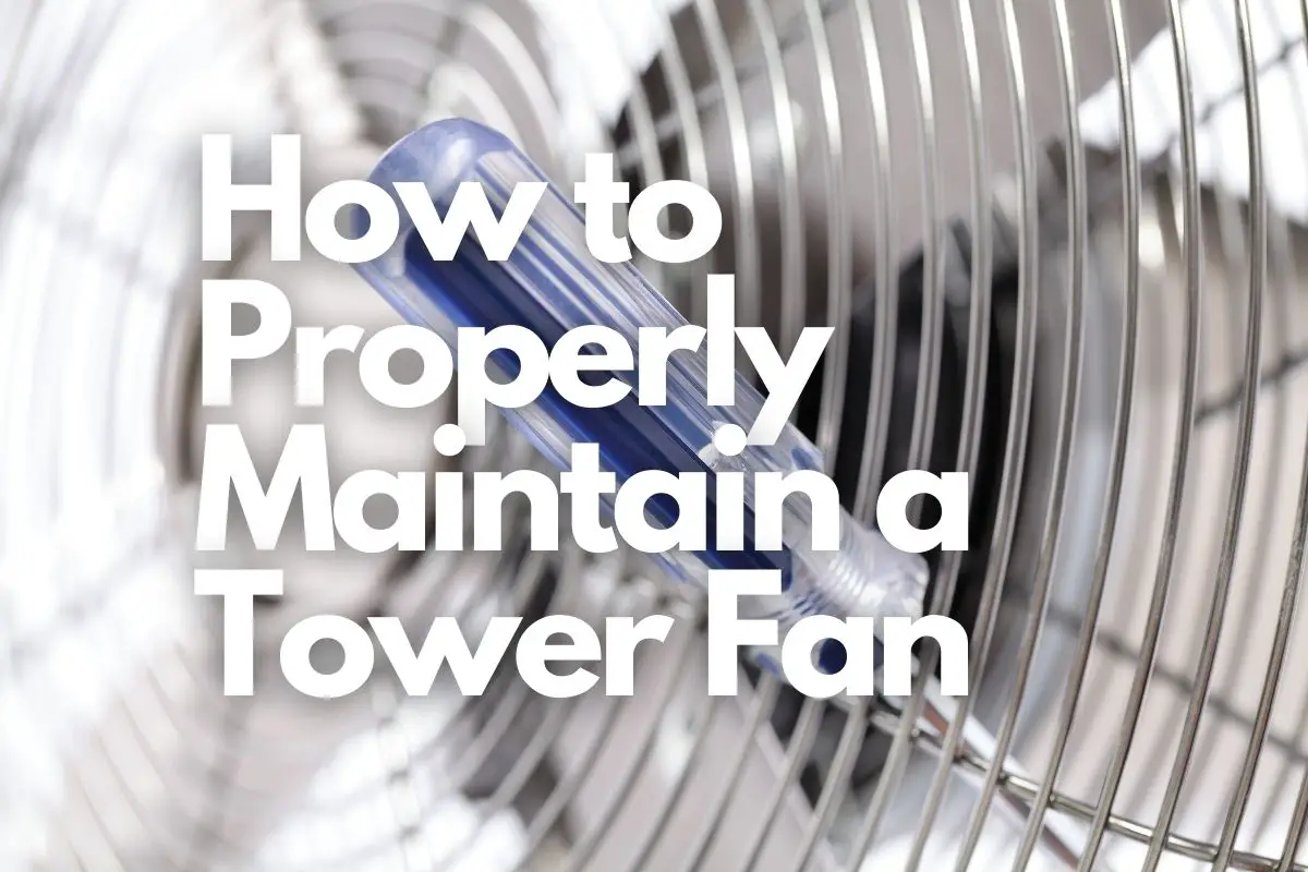 How to Properly Maintain a Tower Fan header image